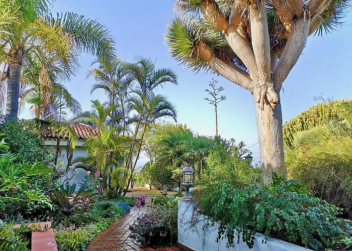 Nanou House Prázdninový dům La Matanza De Acentejo